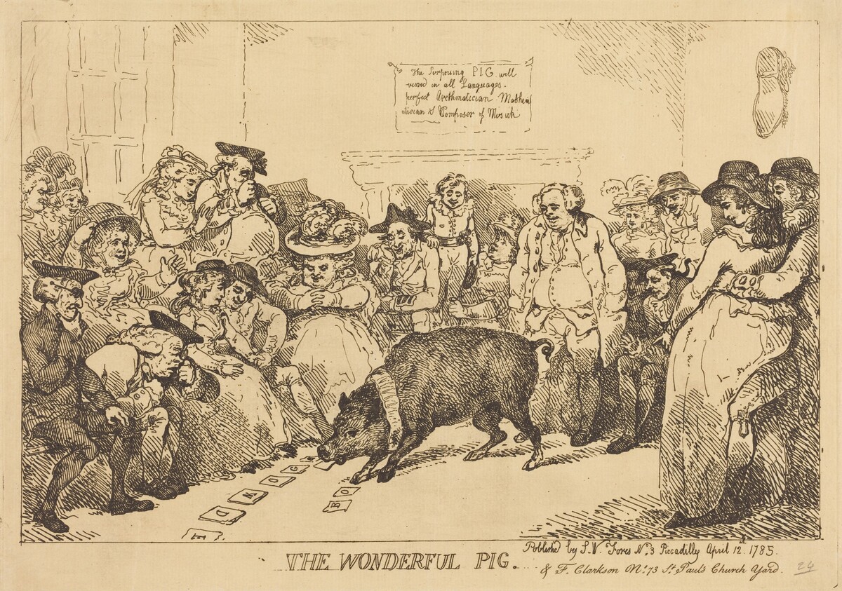 The Wonderful Pig by Thomas Rowlandson