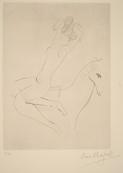 The Rider