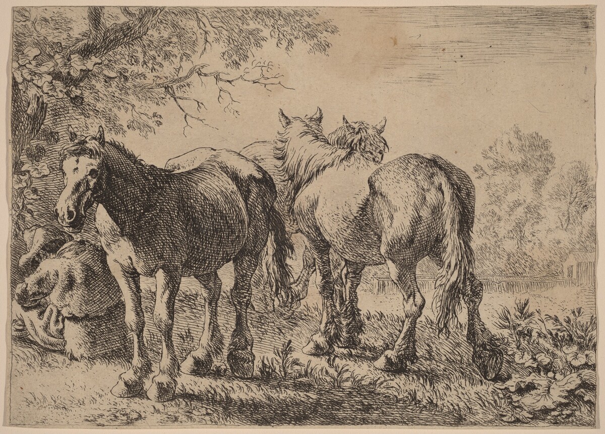 Three Horses in a Field by Pieter van Laer