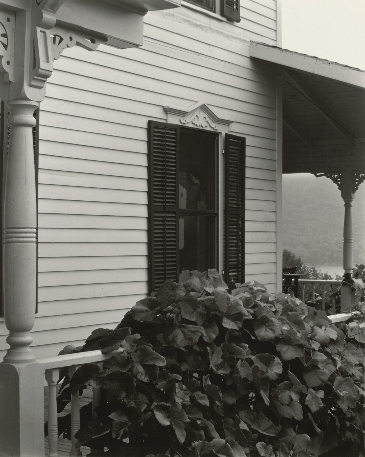 House and Grape Leaves by Alfred Stieglitz