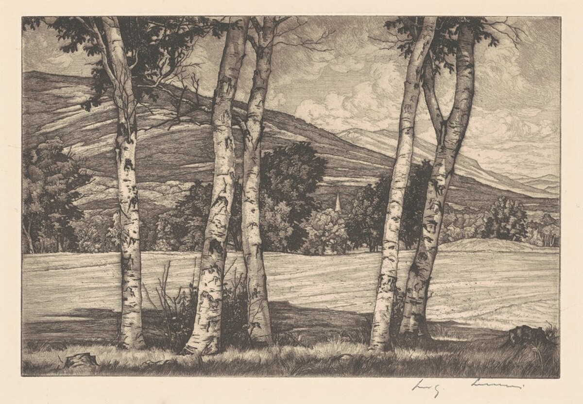 Whites and Shadows by Luigi Lucioni