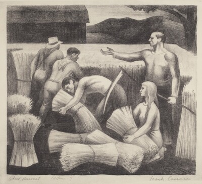 Wheat Harvest