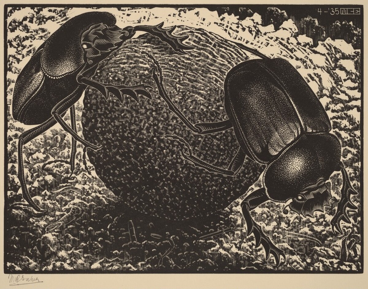 Scarabs by M.C. Escher