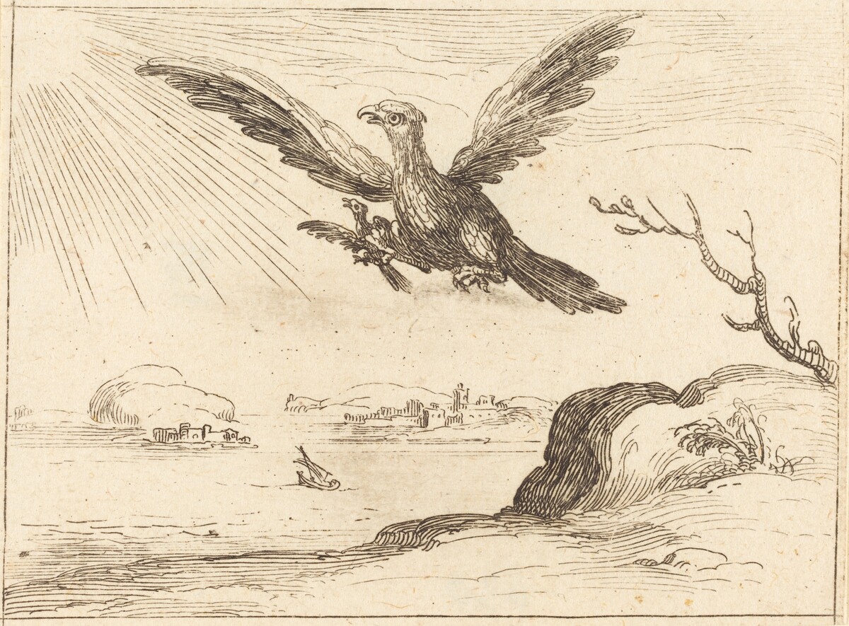 Eagle and Young by Jacques Callot