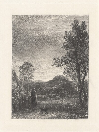 The Skylark