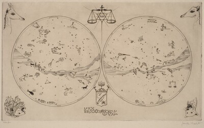 Zodiac (Zodiaque)