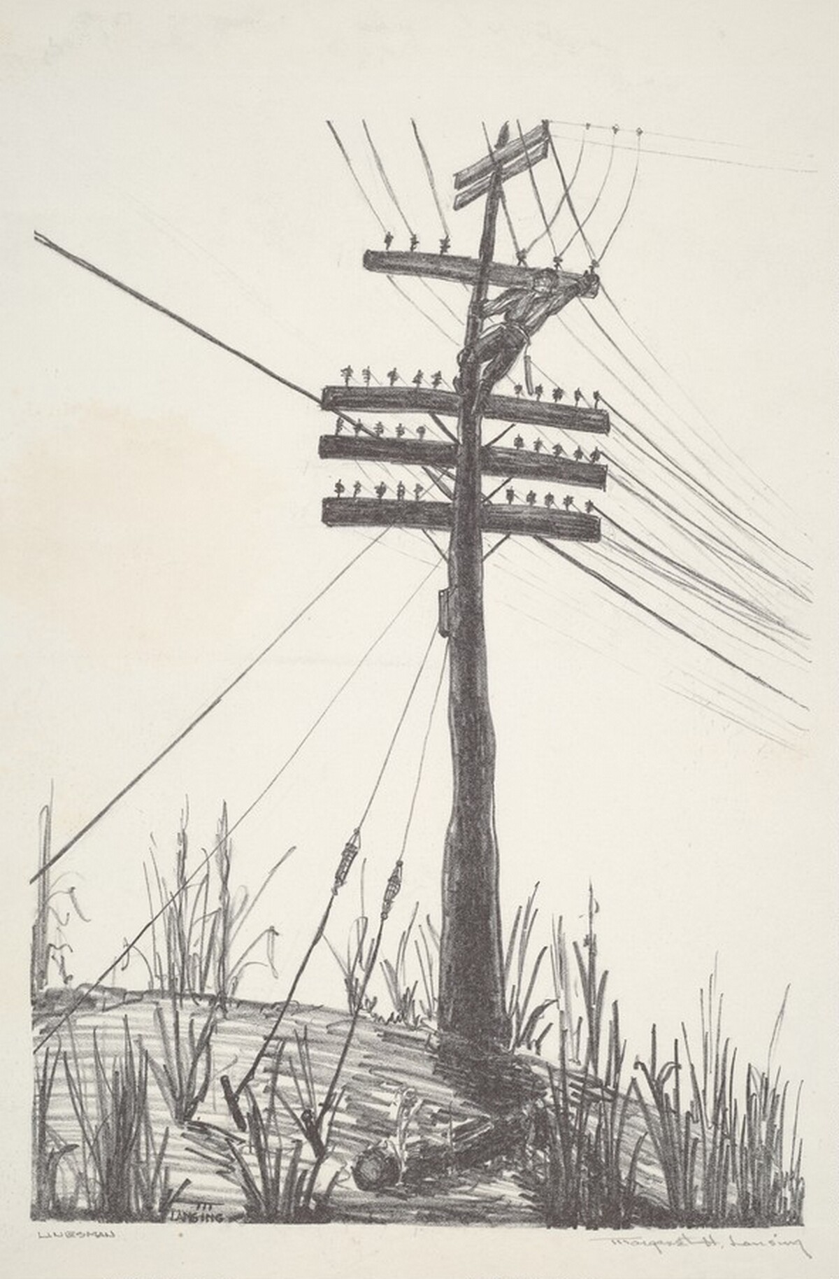 Linesman by Margaret Hunt Lansing