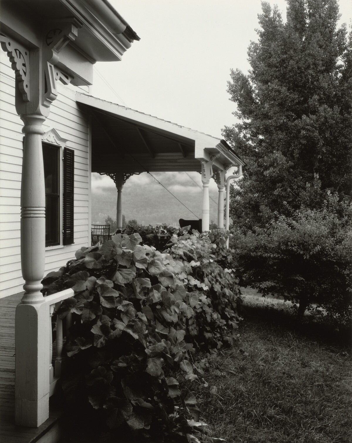 House and Grape Leaves by Alfred Stieglitz
