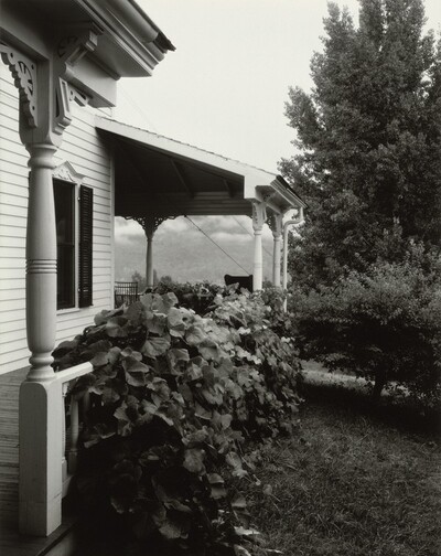 House and Grape Leaves