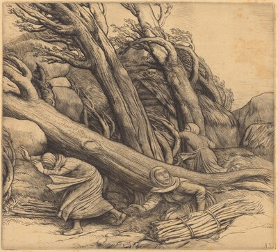 Tornado (Le typhon)
