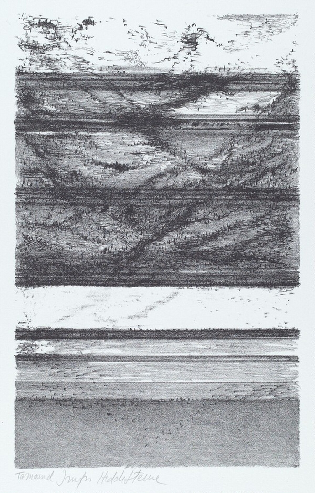 Untitled by Hedda Sterne