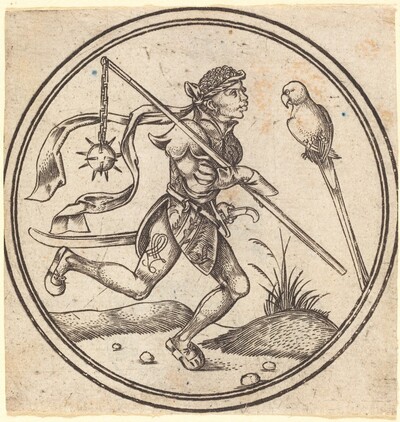 The Jack of Parrots