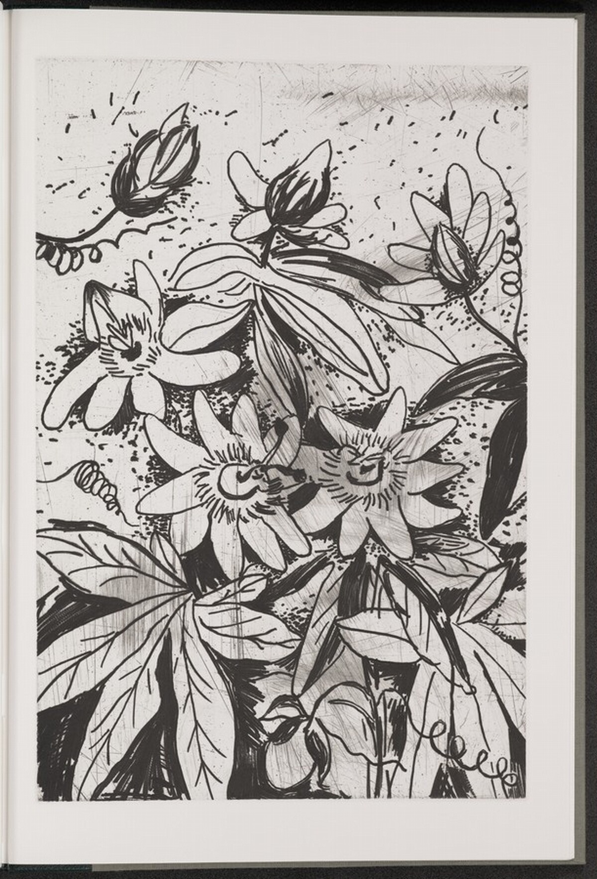 Blue Passionflower by Jim Dine
