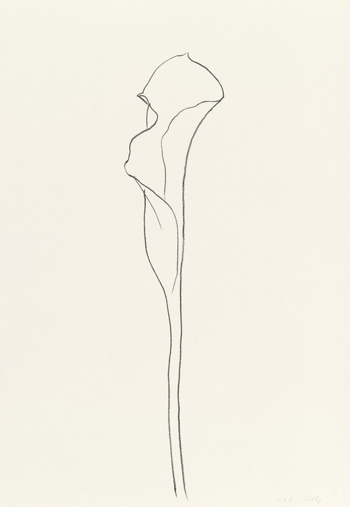 Calla Lily III by Ellsworth Kelly