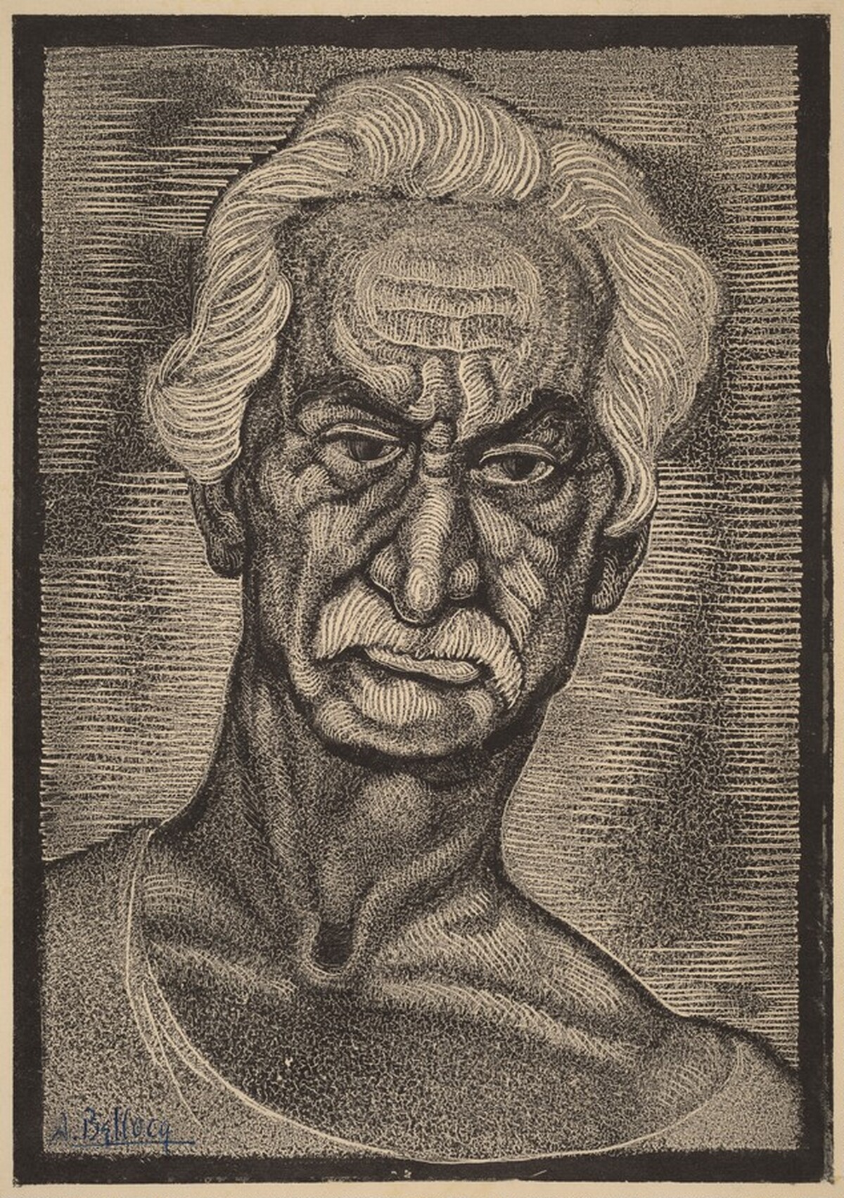Viejo Lobo by Adolfo Bellocq