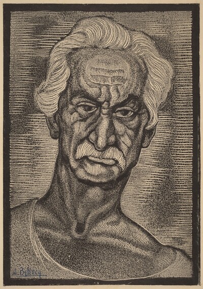 Viejo Lobo