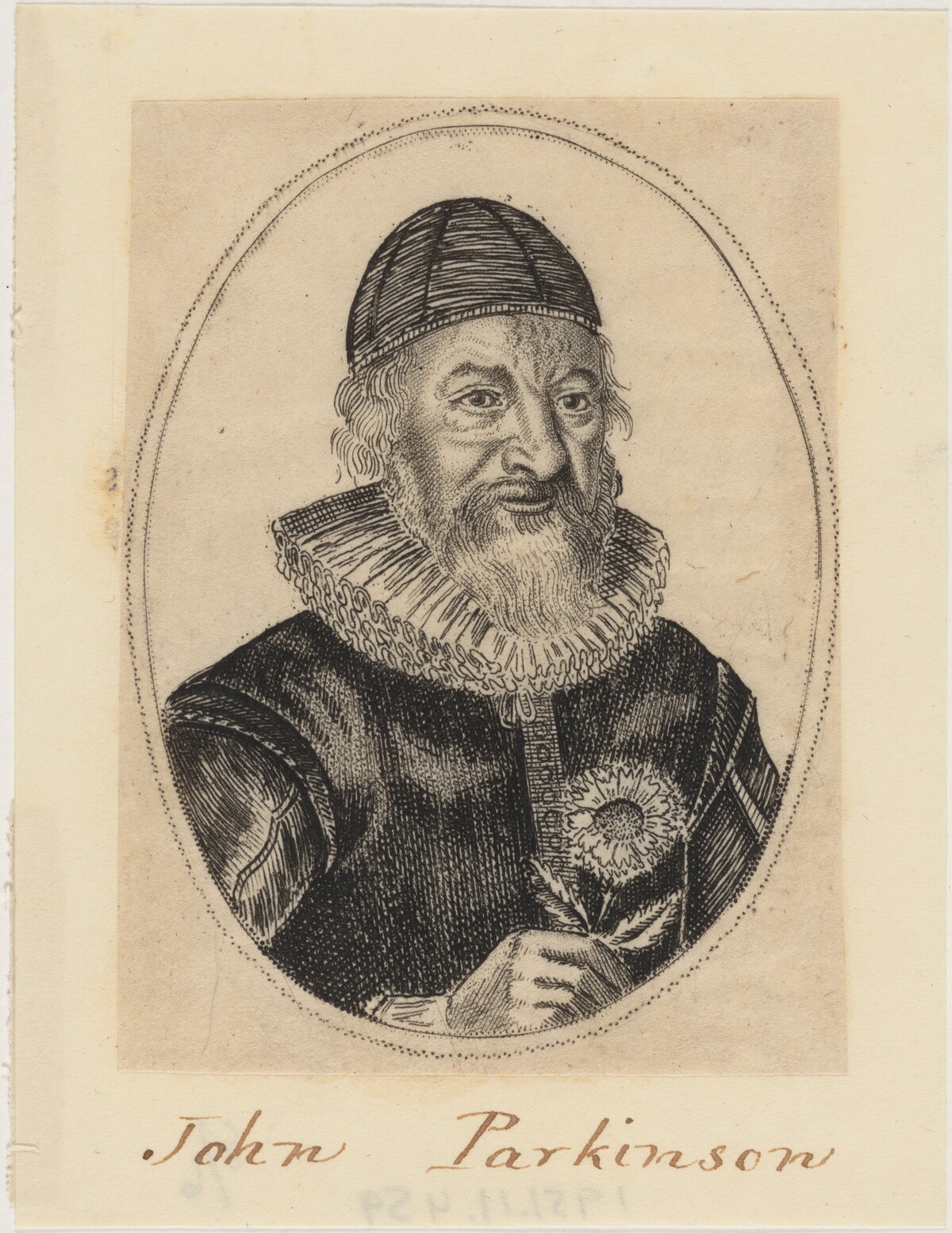 John Parkinson, Apothecary and Herbalist to James I by William Marshall