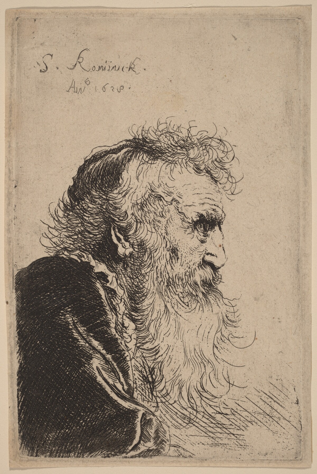 Bust of an Old Man in Profile, Facing Right by Salomon Koninck