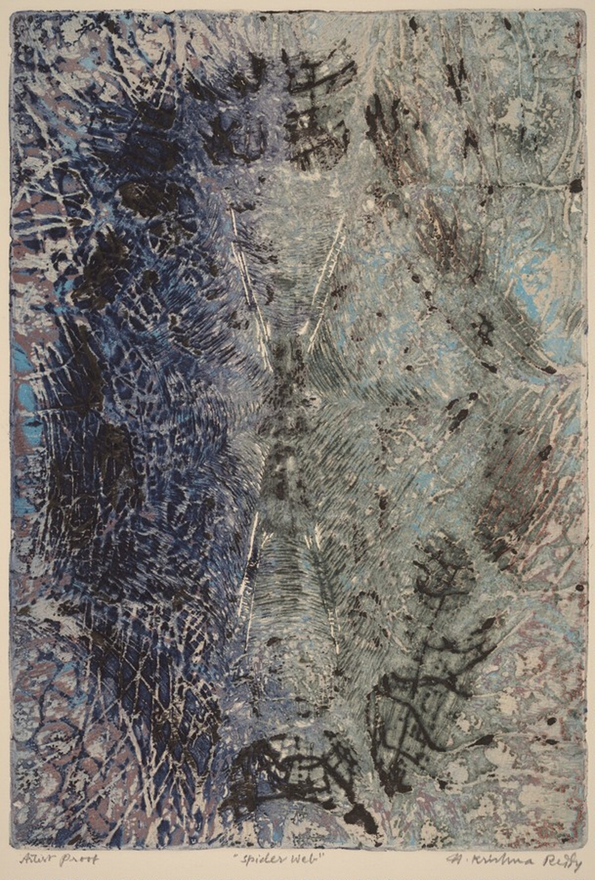 Spider Web by Krishna N. Reddy