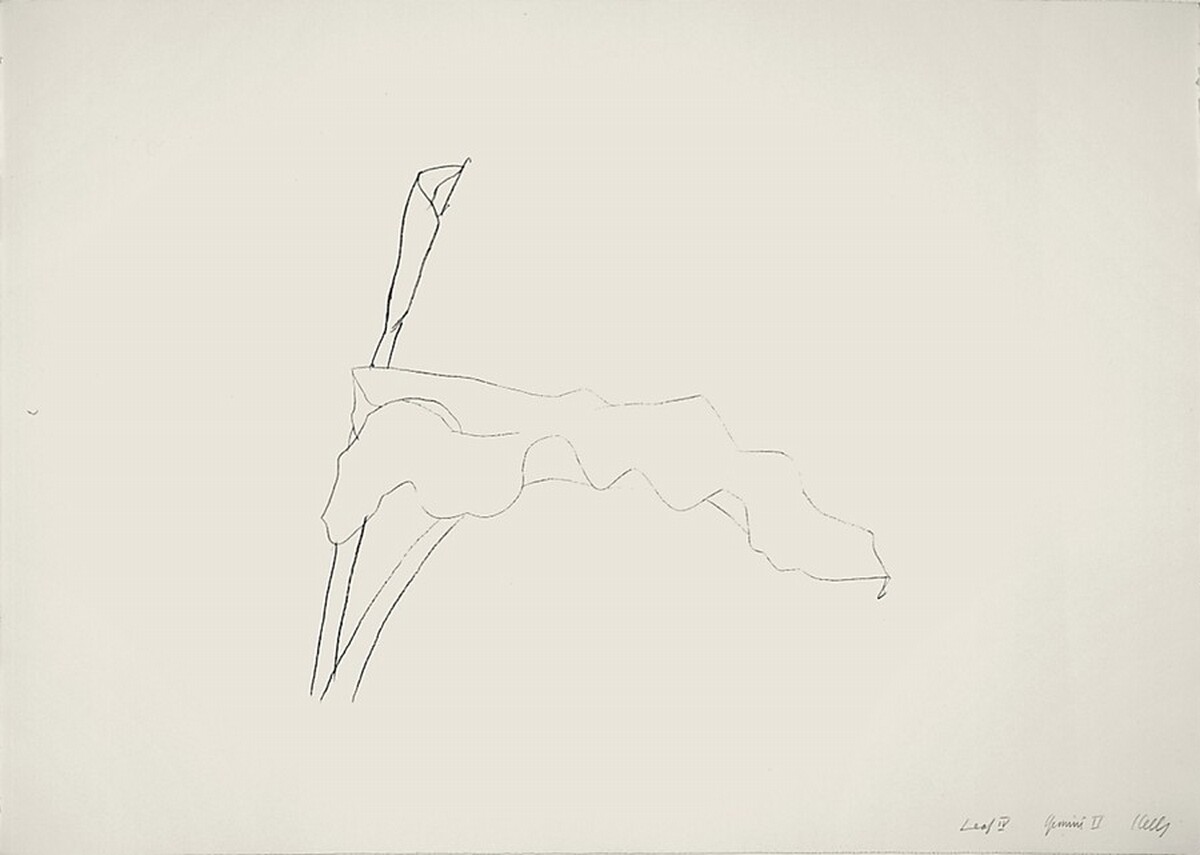 Leaf IV by Ellsworth Kelly