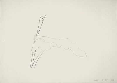 Leaf IV