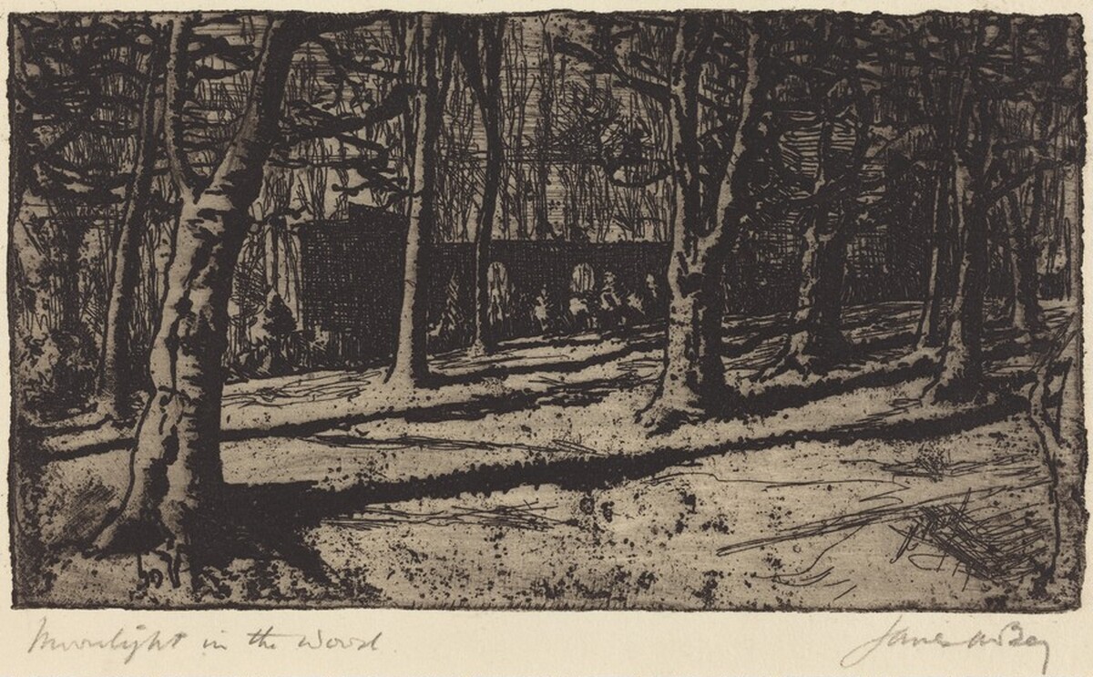 Moonlight in the Wood by James McBey
