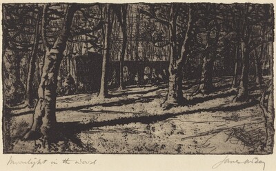 Moonlight in the Wood