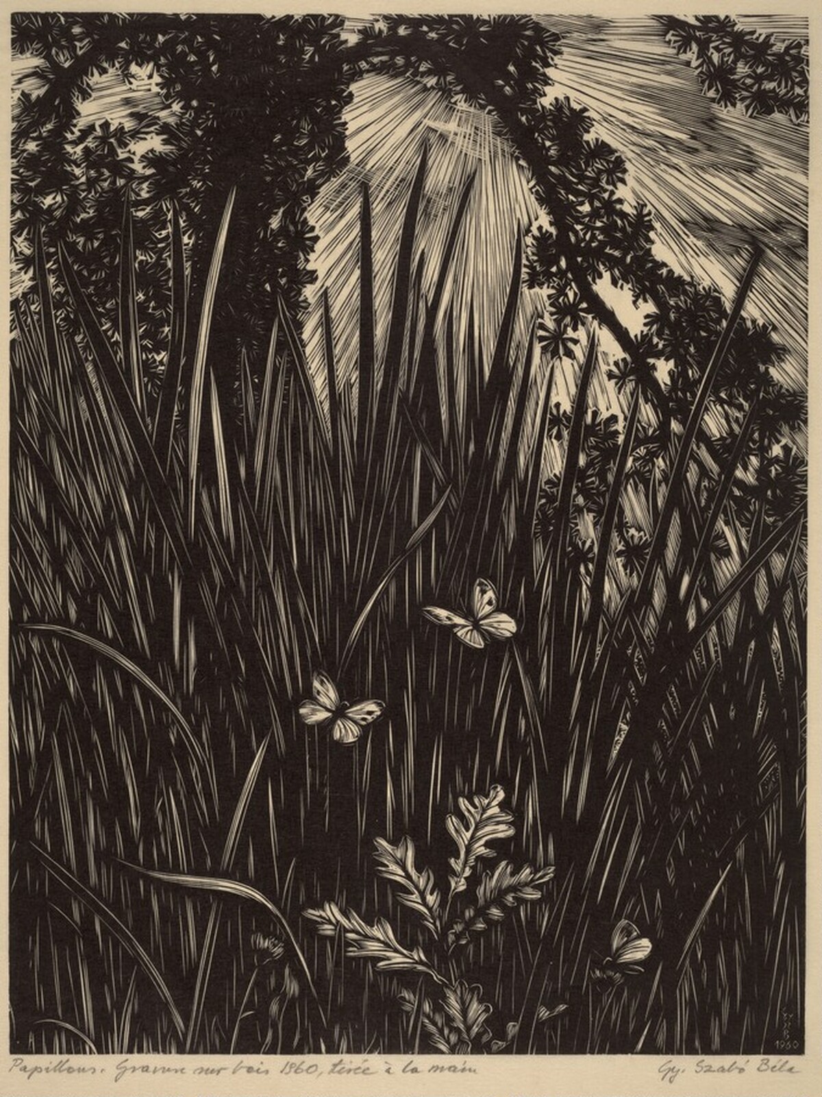 Papillons (Butterflies) by Gy Szabo Bela