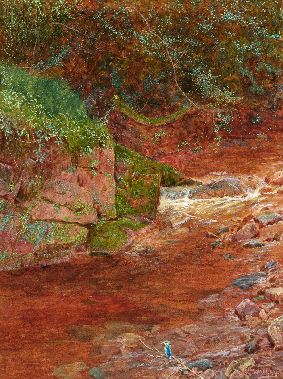 The Kingfisher's Haunt by John George Sowerby