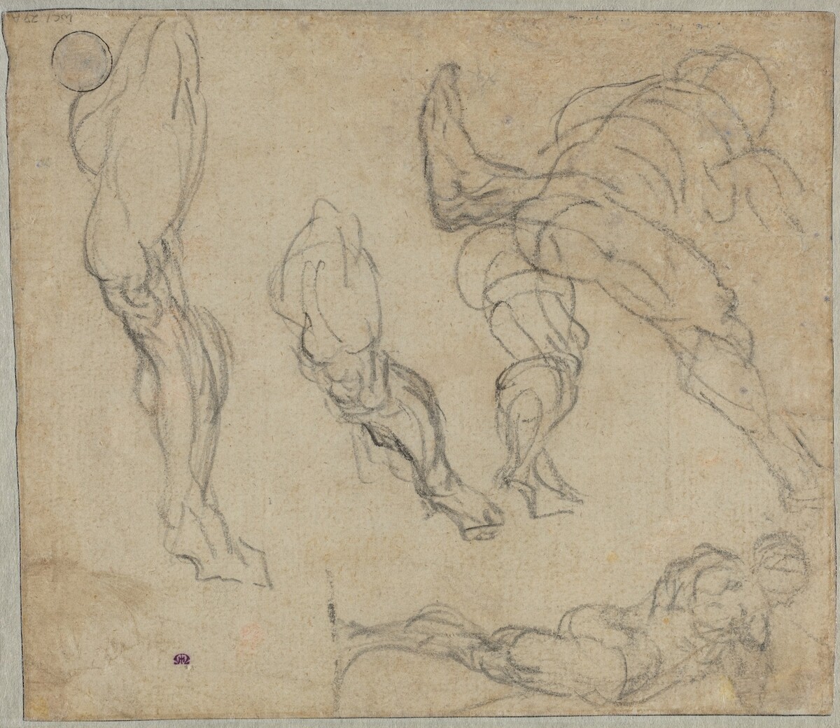 Figures and Legs (verso) by Jacopo Tintoretto