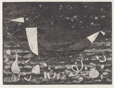 Beach Bird at Night