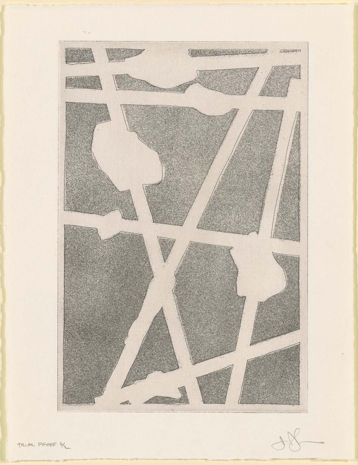 Casts [trial proof 2] by Jasper Johns