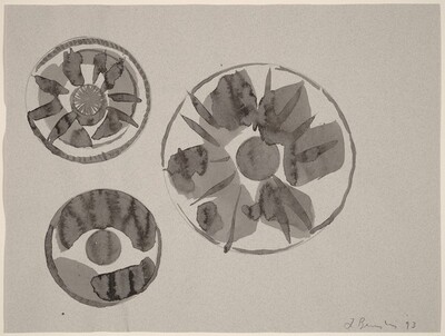 Emblematic Study 4