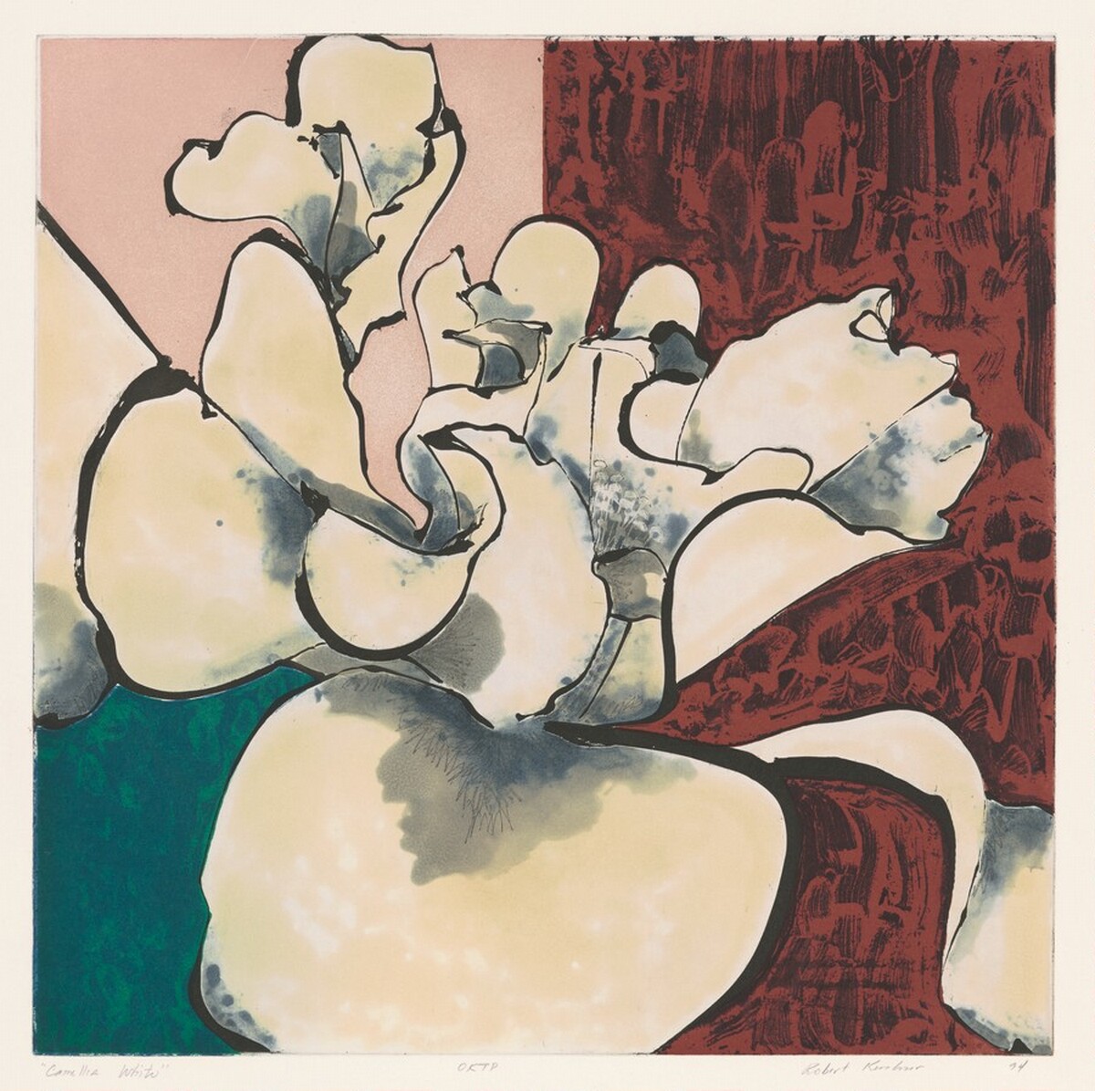 Camellia White by Robert Kushner