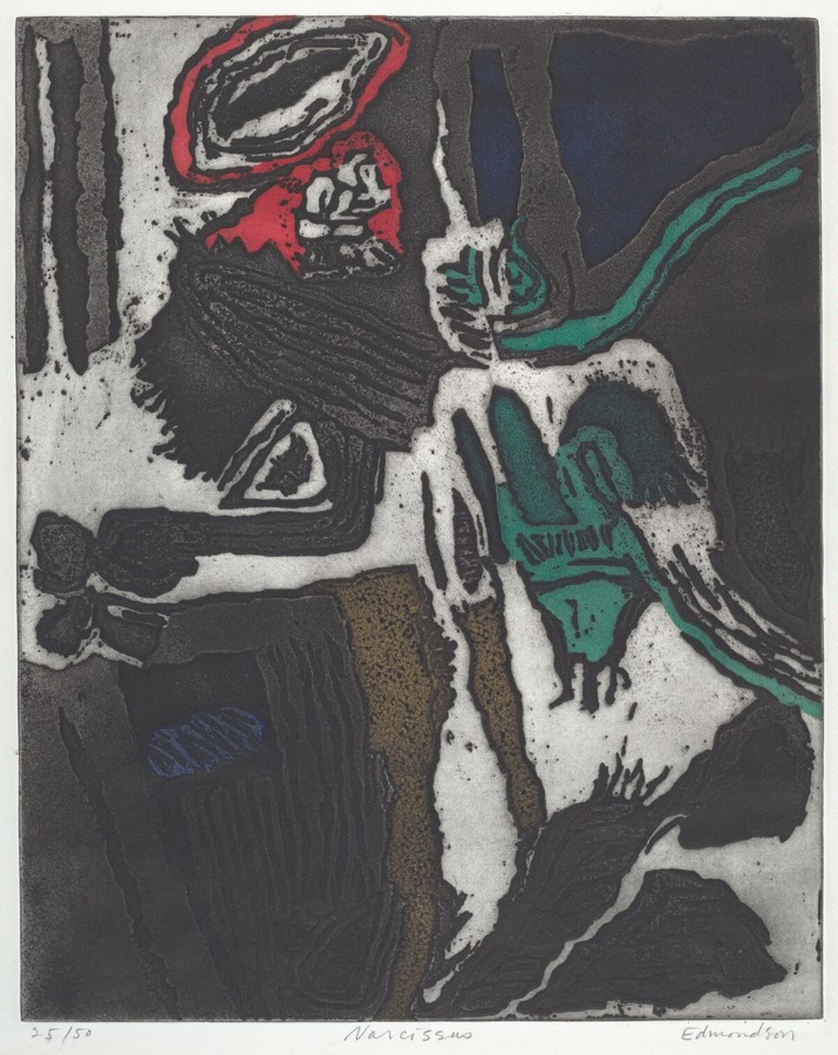 Narcissus by Leonard Edmondson
