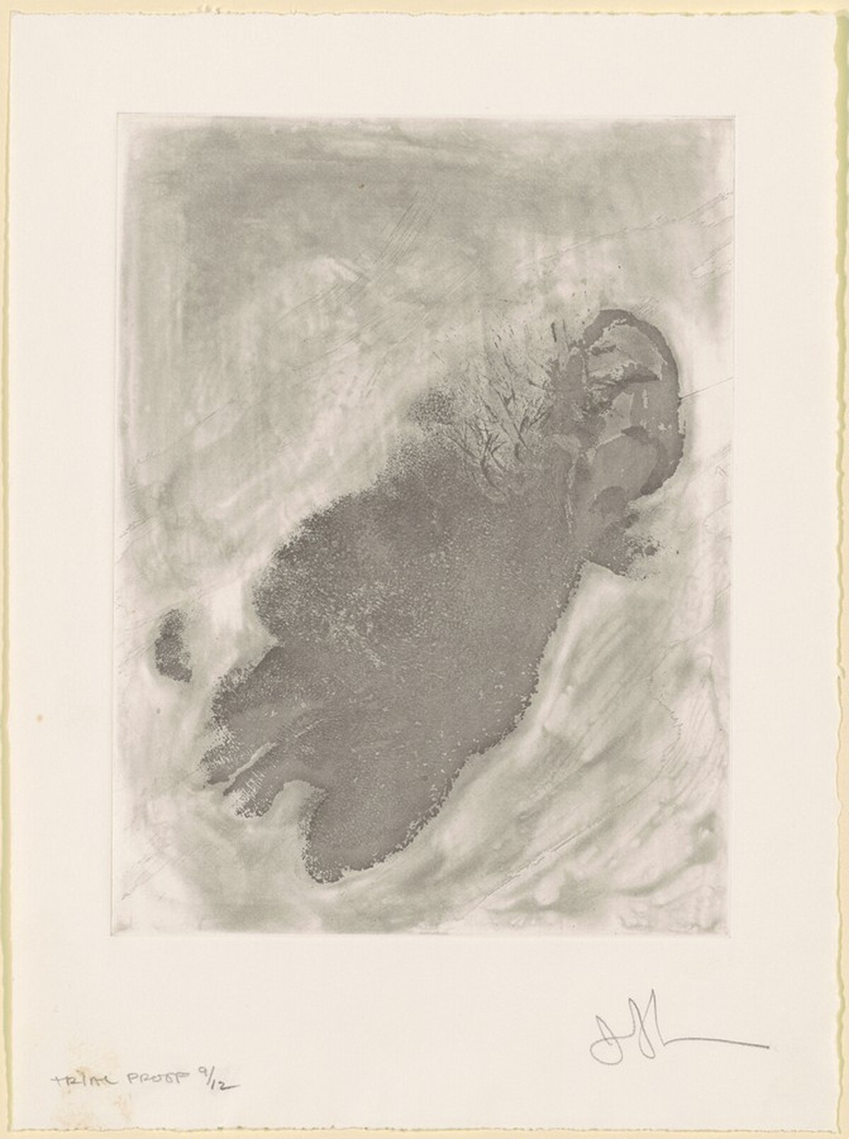 Face [trial proof 9] by Jasper Johns