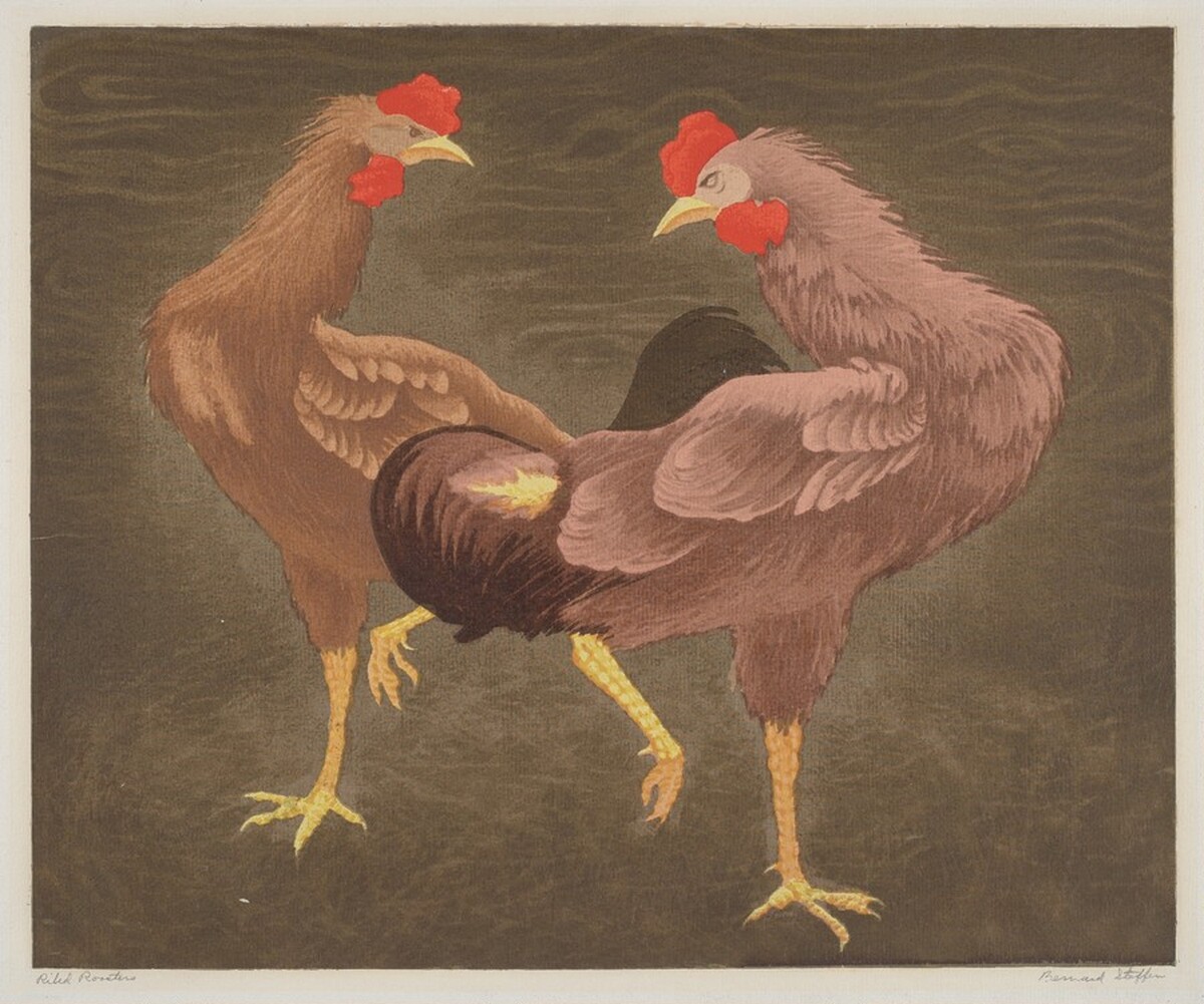 Riled Roosters by Bernard Joseph Steffen