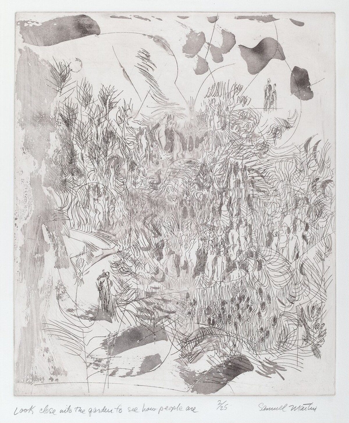 Look Close into the Garden by Samuel Calman Maitin