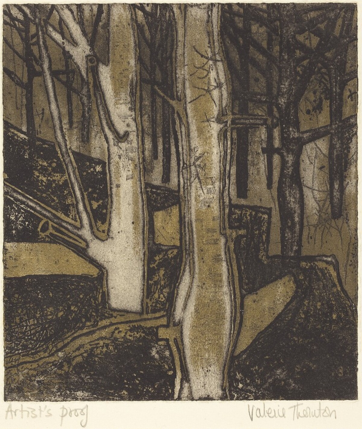 Beechwood by Valerie Thornton