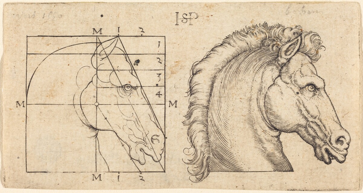 Profile Study of Two Horse Heads by Sebald Beham