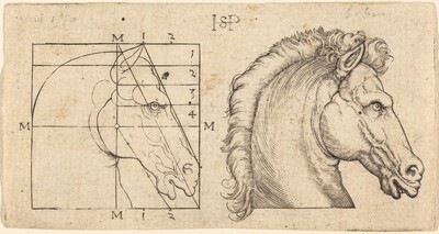 Profile Study of Two Horse Heads