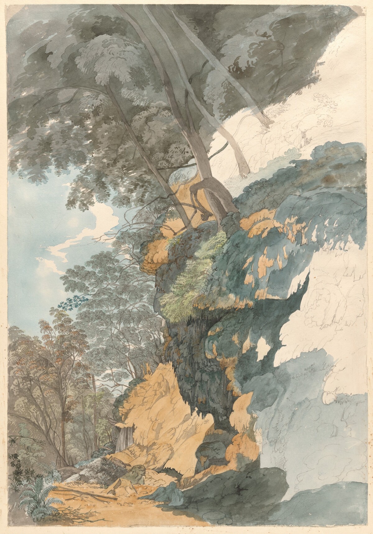A Cliff Overhung with Trees by Ezekiel Barton