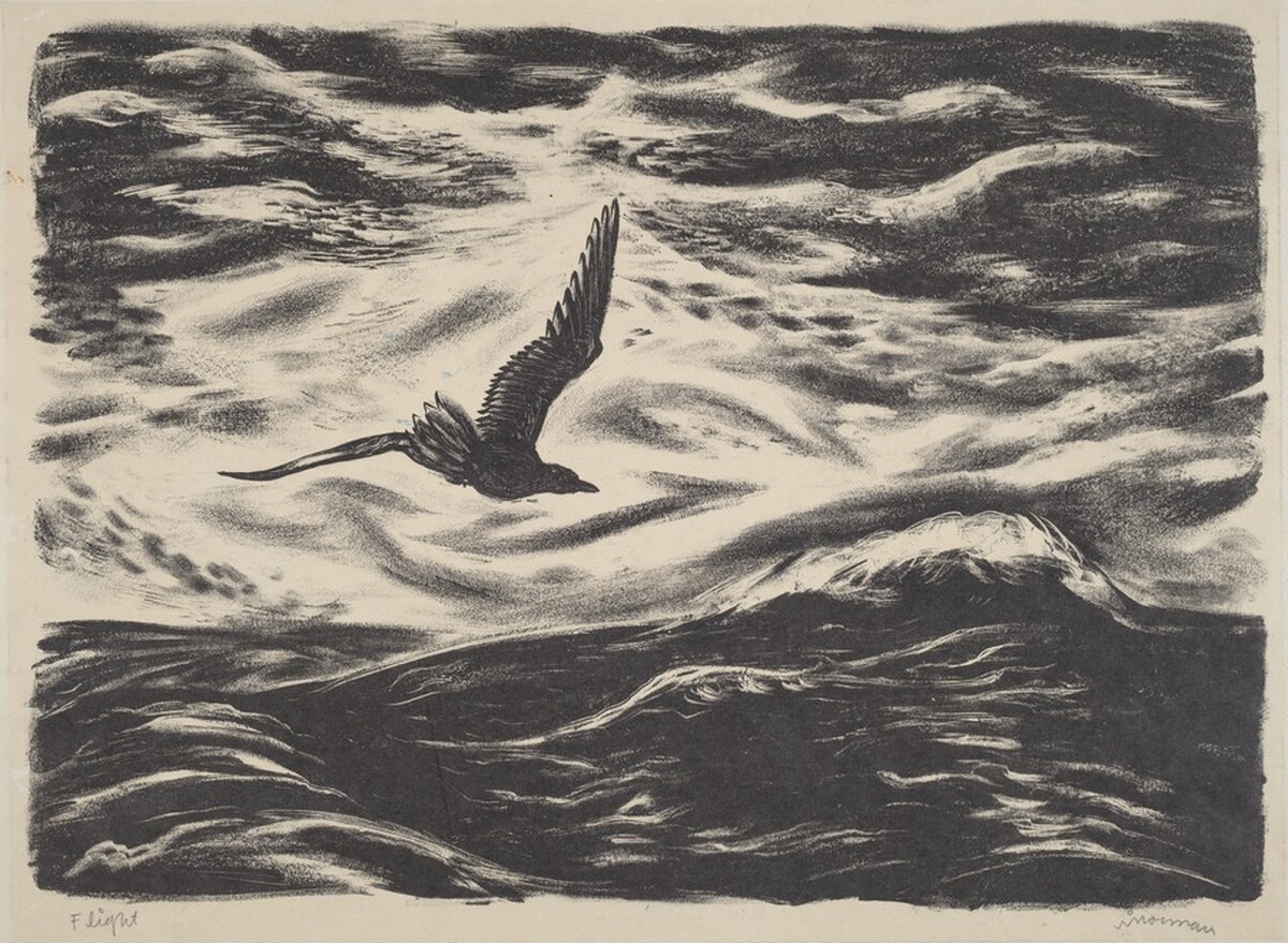 Flight by William Norman