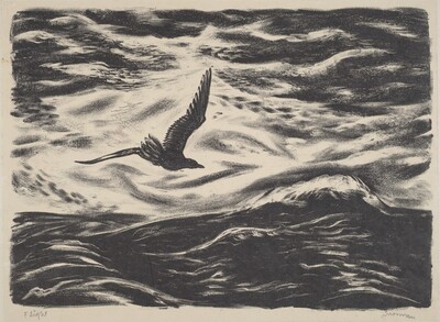 Flight