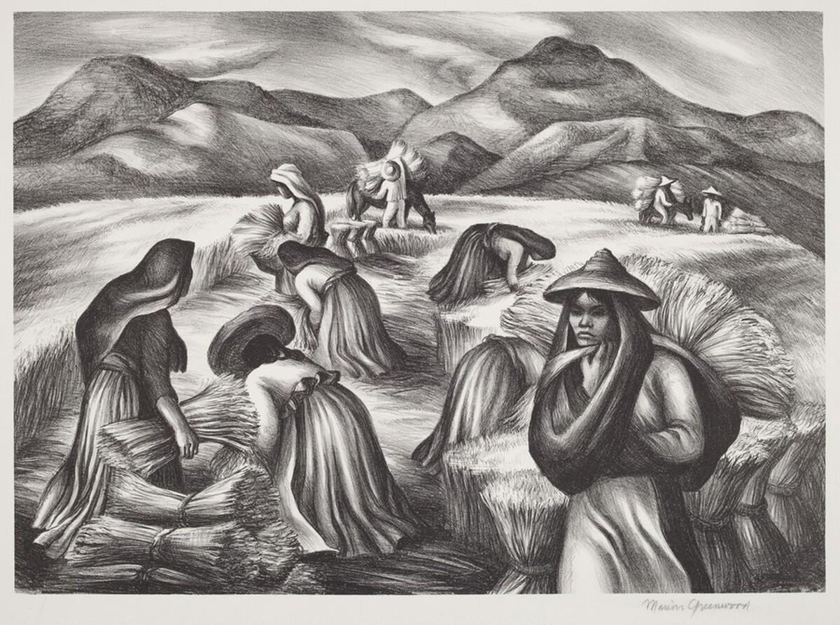 Mexican Harvest by Marion Greenwood