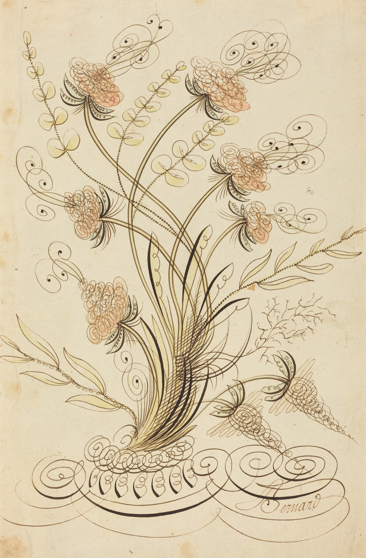 Calligraphic Flowers by Jean-Joseph Bernard called Bernard de Paris