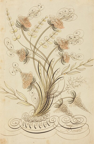 Calligraphic Flowers