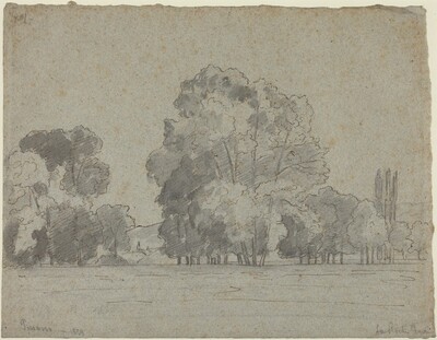 Grove of Trees