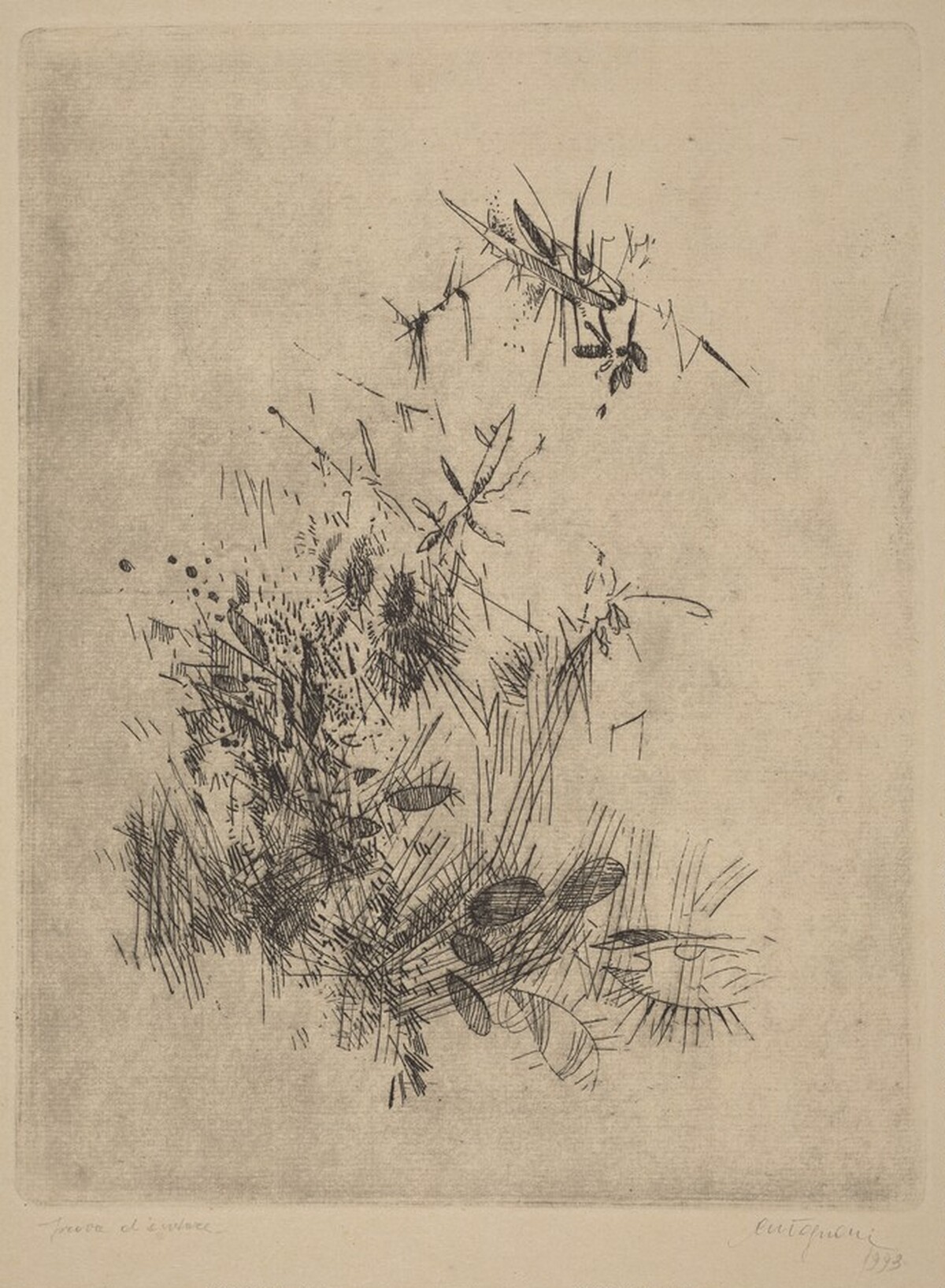 Volo (Flight) by Giancarlo Tognoni