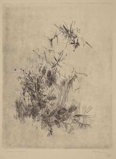 Volo (Flight)